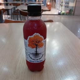 kombucha do Cerrado