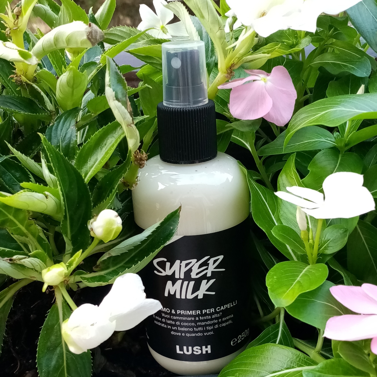 LUSH Fresh Handmade Cosmetics Super Milk Reviews | abillion
