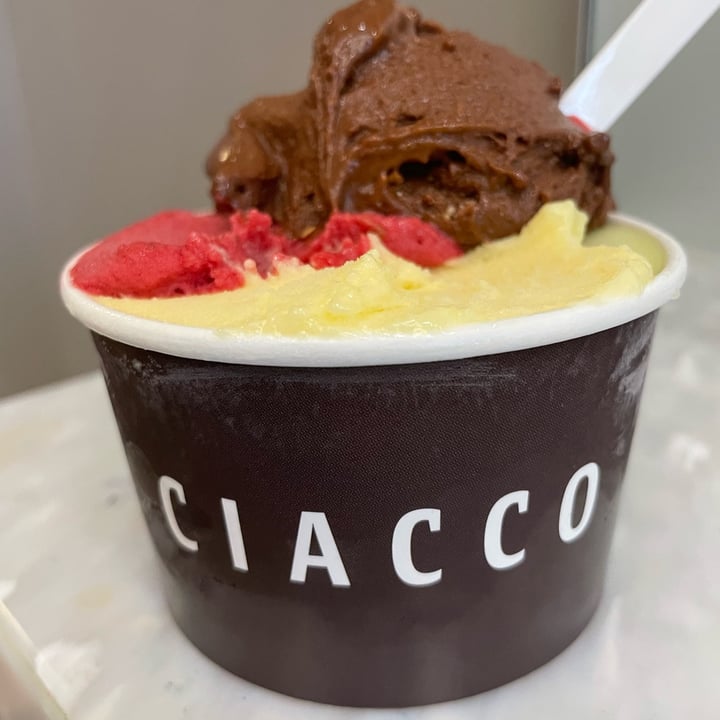 photo of Ciacco Gelato Veg shared by @miguelangelgc82 on  03 Jun 2023 - review