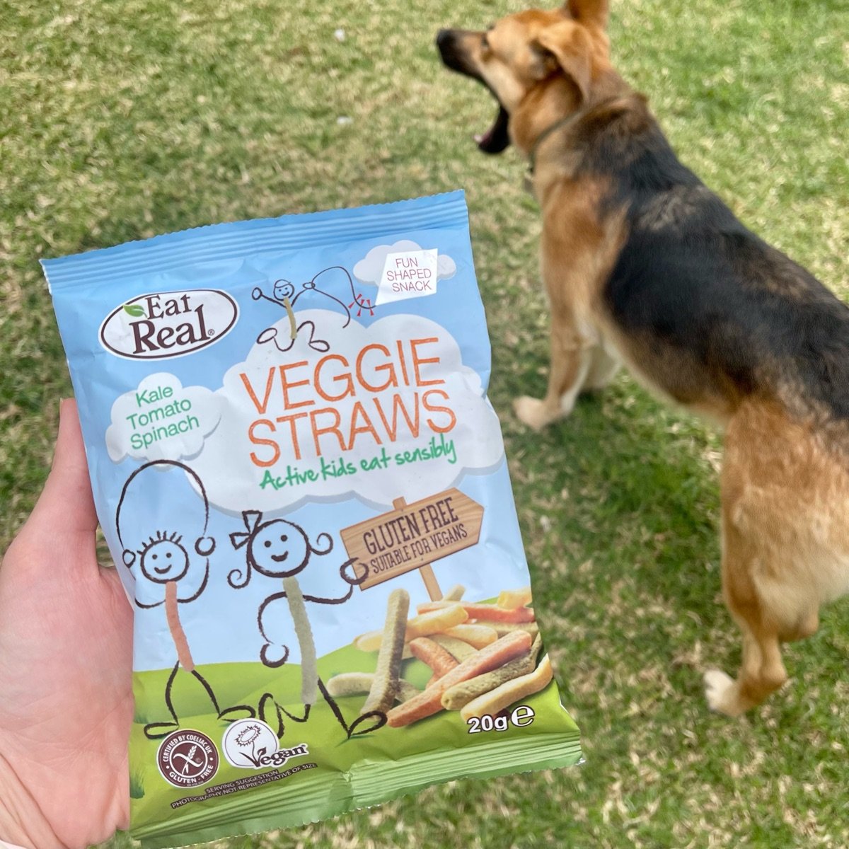 Eat Real Veggie Straws Reviews abillion
