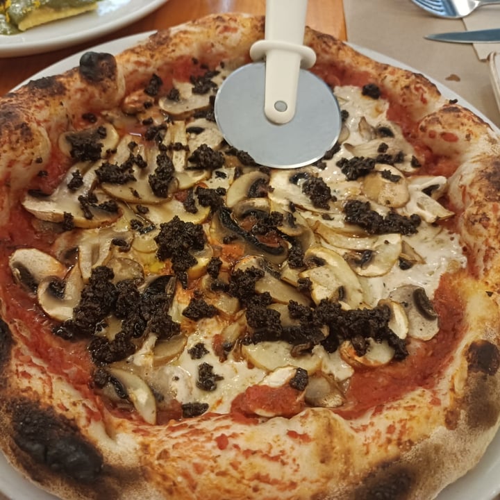 photo of Pizzi & Dixie Pizza Truffata shared by @tanialba on  29 Jun 2023 - review