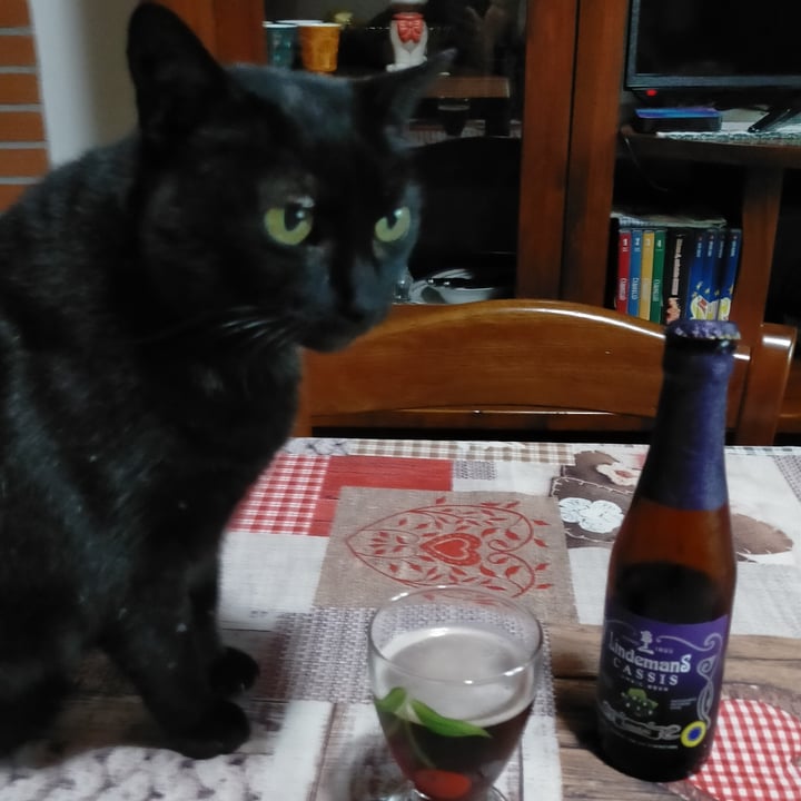 photo of Lindemans Lindemans Cassis Lambic Beer shared by @michelalessandra on  06 Aug 2023 - review