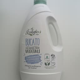 l'ecologico icefor