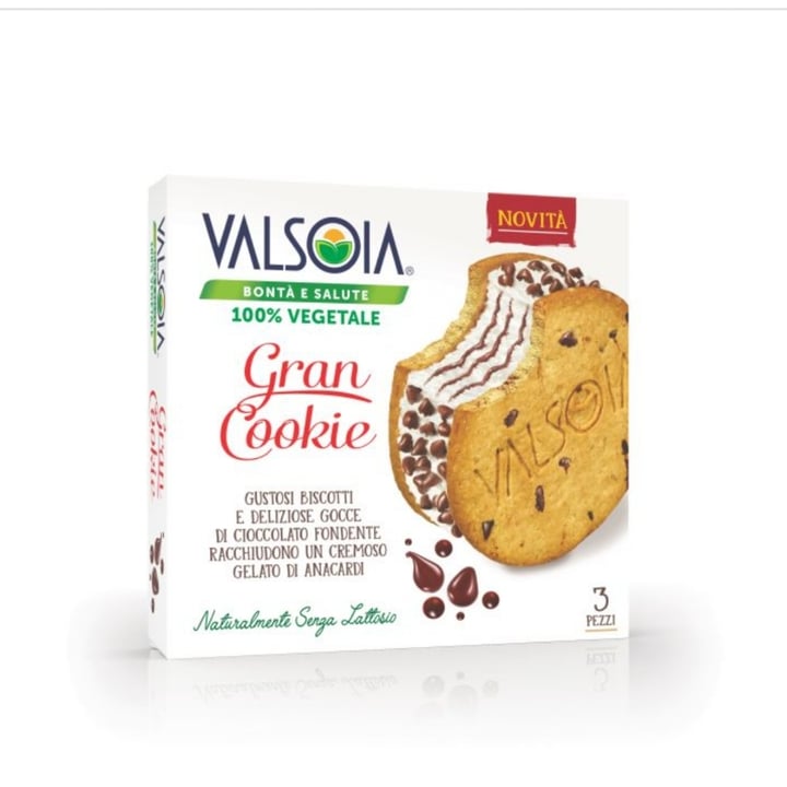 photo of Valsoia Biscotto Gelato con gocce di cioccolato shared by @sarahtrombini22 on  11 May 2023 - review