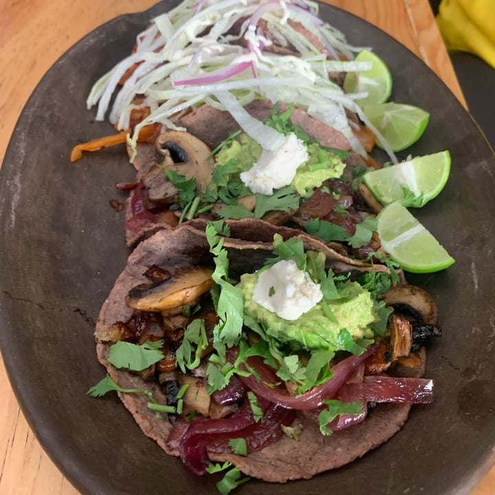 photo of La Colmena Tacos De Verduras shared by @yoatzin on  10 Jul 2023 - review