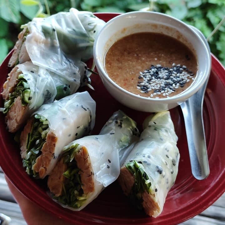 photo of Earth Tone vegetarian cafe and health shop Tempeh Sprout Spring Rolls shared by @littleredmushroom on  23 Jan 2023 - review