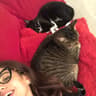 caterina-rt