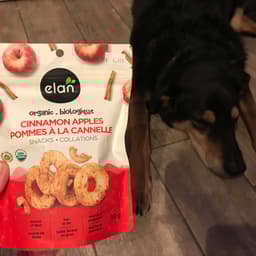 Elan