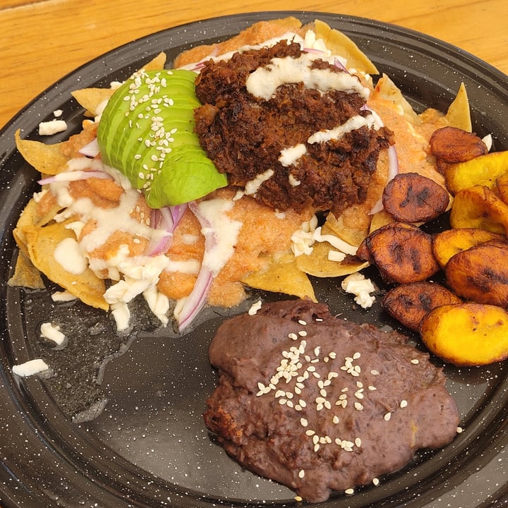 photo of The Vegan Spot enchiladas rojas shared by @haniel on  07 Mar 2023 - review