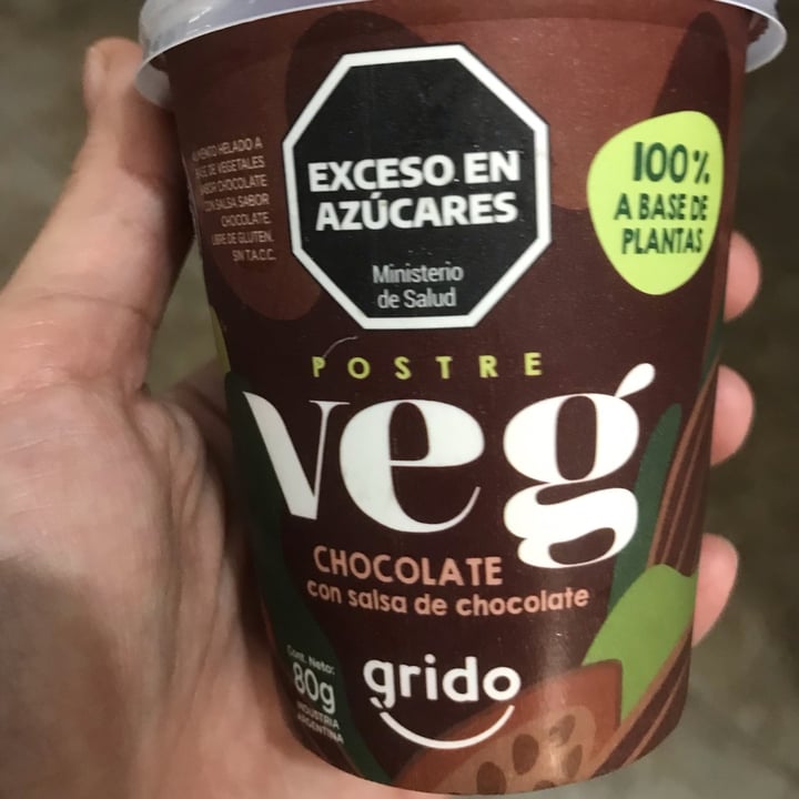 photo of Grido postre veg chocolate con salsa de chocolate shared by @jaelbori on  17 Apr 2023 - review
