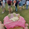 Doughnotts