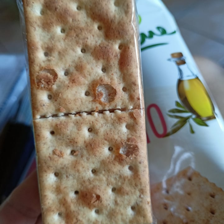 photo of EcorNaturaSì crackers biologici semintegrali al farro shared by @paola61 on  01 Jul 2023 - review