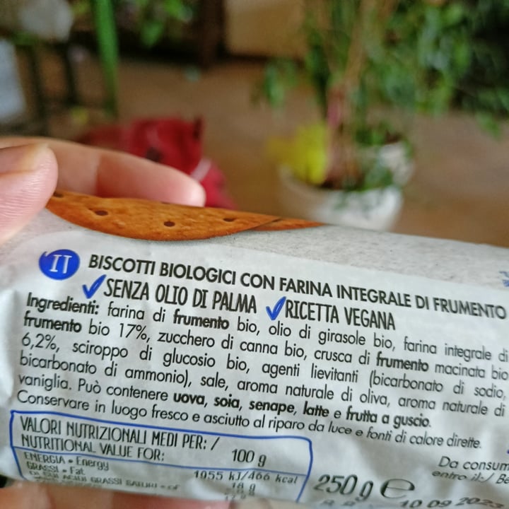 photo of Fior di Loto Biscotti digestive shared by @paola61 on  15 Aug 2023 - review