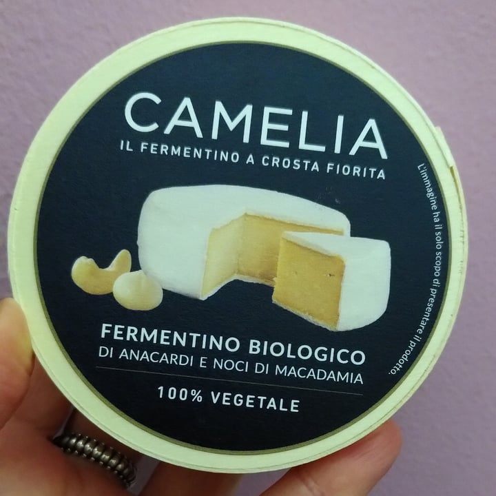 photo of Camelia Fermentino a crosta fiorita shared by @merry-cherry-veg on  20 Dec 2022 - review