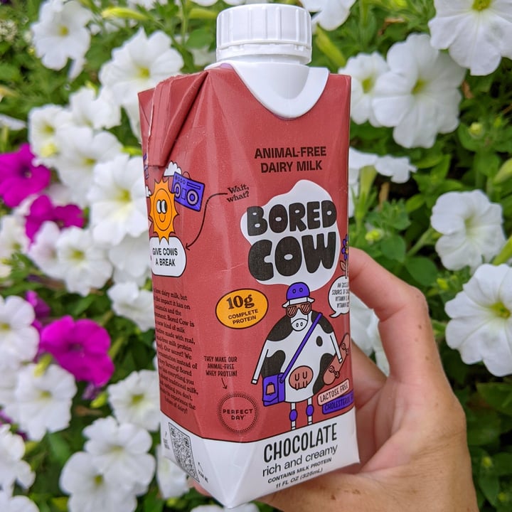 photo of bored cow Milk, Chocolate shared by @veggieassassin on  02 Jun 2023 - review