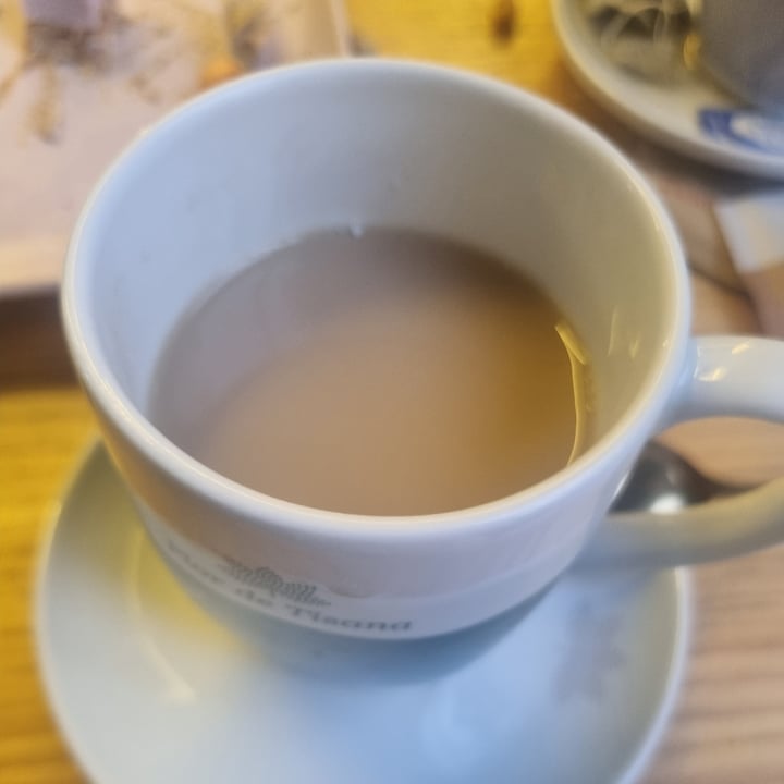 photo of TROPICOOL Te chai massala shared by @gemmika on  28 May 2023 - review