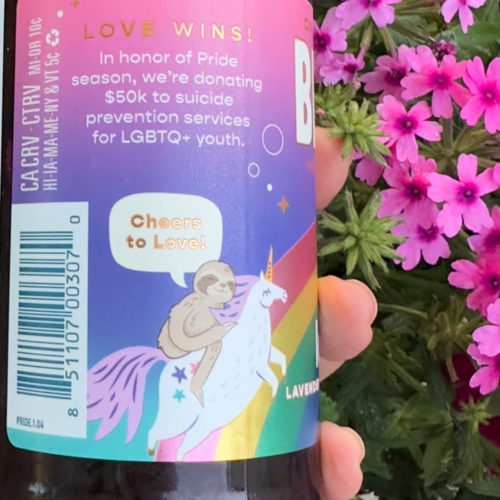 photo of Brew Dr. Kombucha Love Wins Pride edition shared by @berryveganplanet on  06 Aug 2023 - review