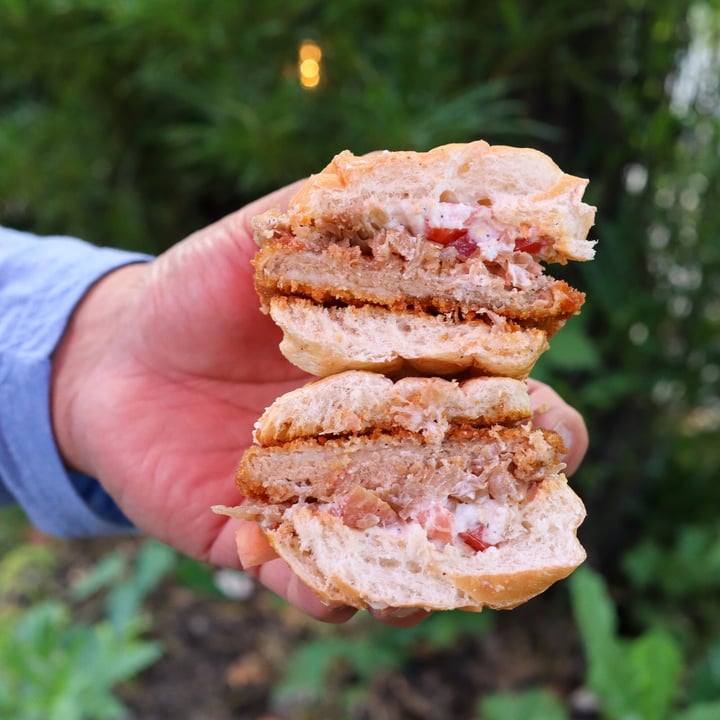 photo of Pierogi Mountain seitan schnitzel sandwich shared by @lizmaselli on  16 Jun 2023 - review