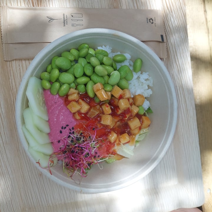 photo of Vegamare Vegan Poke shared by @fedepooh on  20 Jul 2023 - review