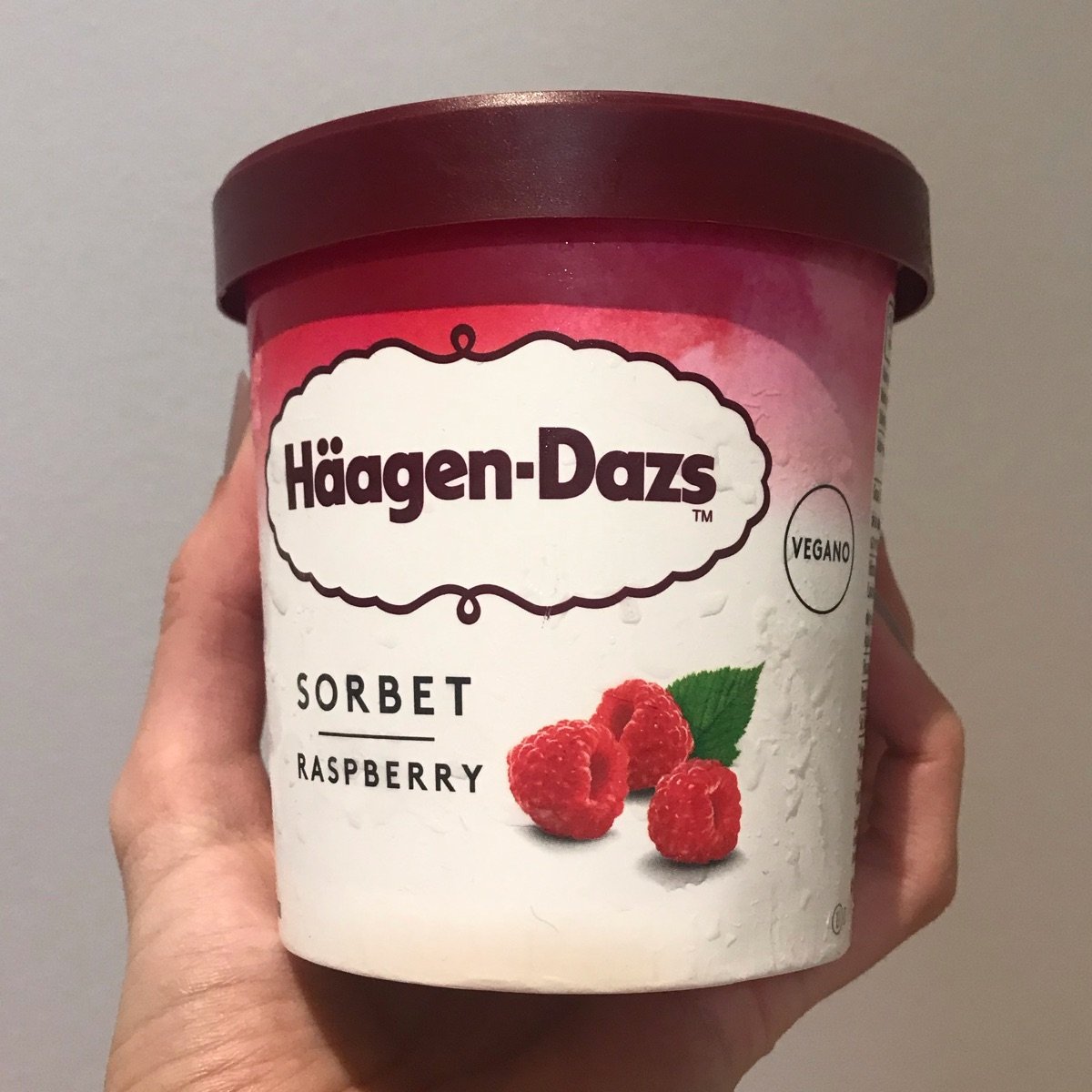 HäagenDazs Sorbet Raspberry Reviews abillion
