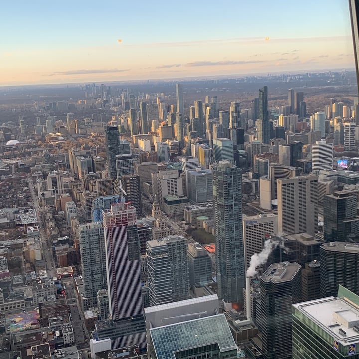 photo of 360 The Restaurant at the CN Tower Chickpea Frites shared by @vegandidsystem on  03 Apr 2023 - review