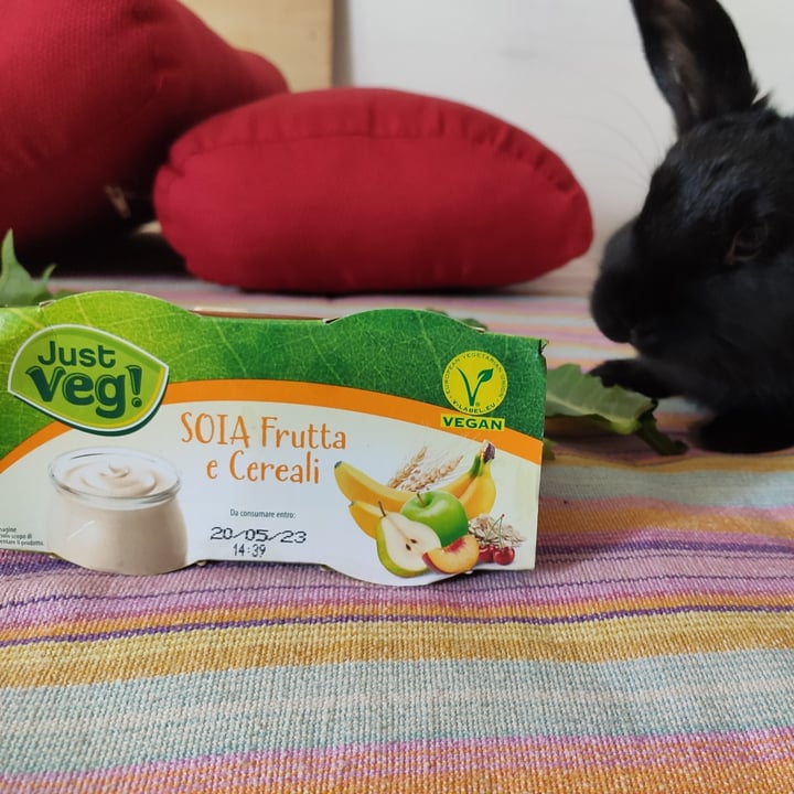 photo of Just Veg! (ALDI Italy) Yogurt soia frutta e cereali shared by @ziafe on  05 May 2023 - review