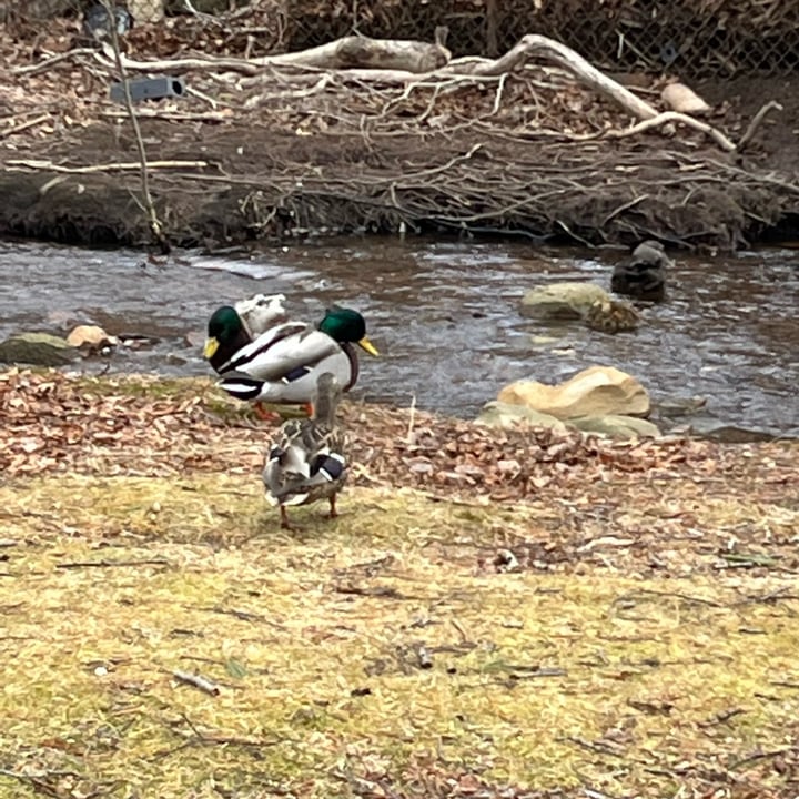 photo shared by @juliachavy on  21 Mar 2023 - post