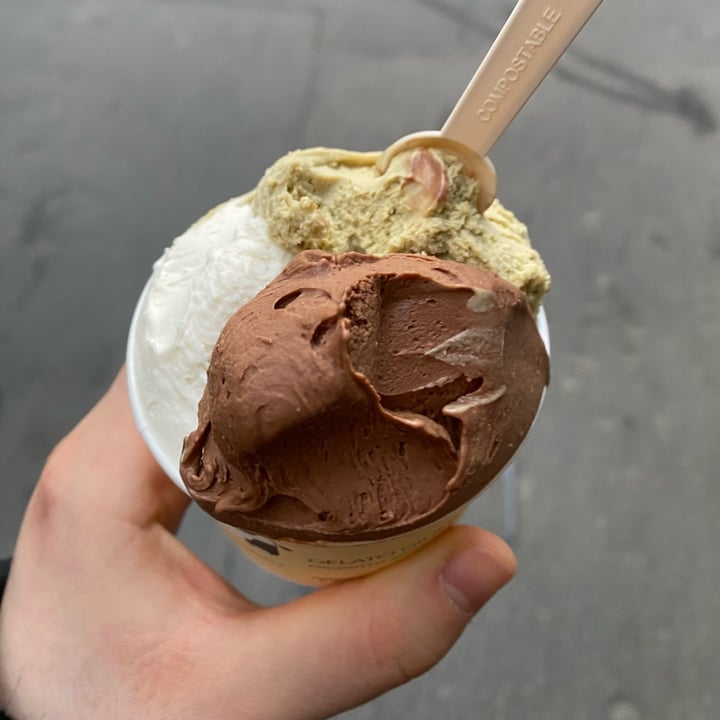 photo of Gelato Giusto Coppetta 3 gusti shared by @liciaines on  16 Feb 2023 - review