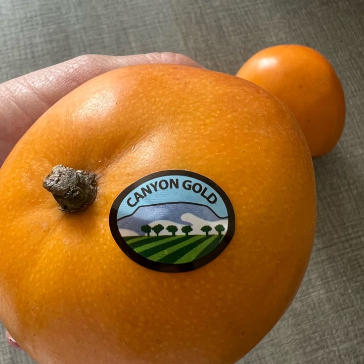 photo of Canyon gold Mango shared by @bianca1701 on  08 Feb 2023 - review