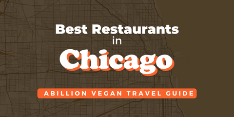 Top Vegan Restaurants in Chicago: A Plant-Based Foodie's Guide
