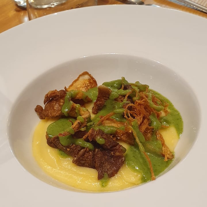 photo of Misticanza - Osteria dalla terra Polentina liquida, funghi fritti e salsa al prezzemolo shared by @annaflavia on  17 Mar 2023 - review