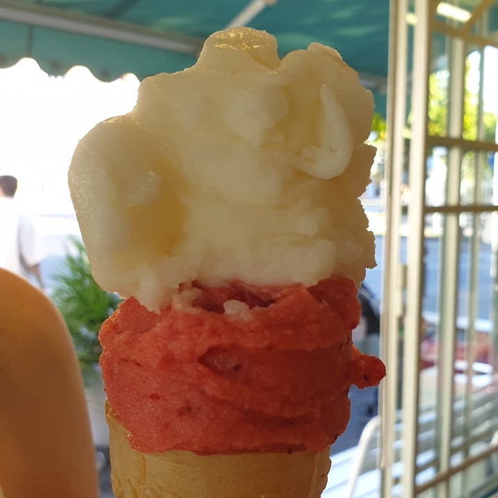 photo of Gelateria il Castello Gelato Al Limone E Alla Fragola shared by @klarawoodson on  09 Aug 2023 - review