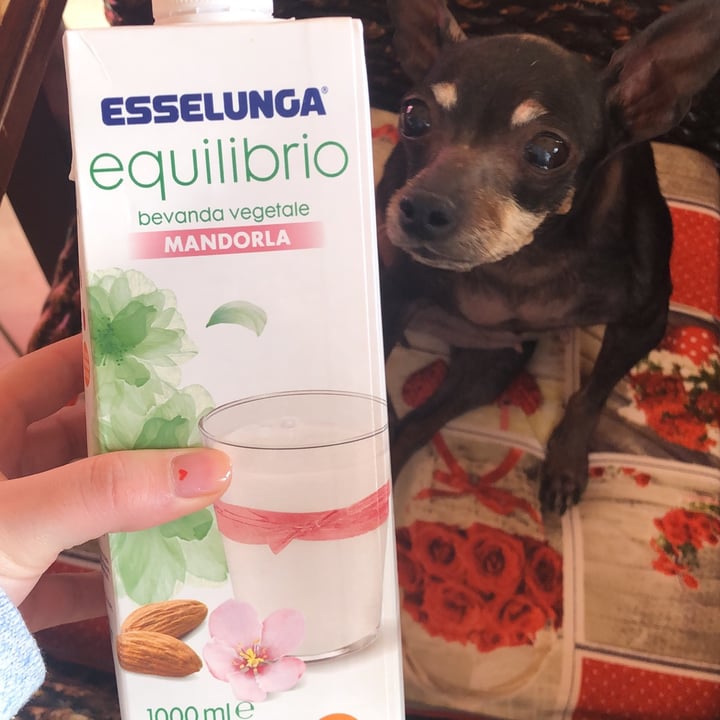 photo of Esselunga equilibrio bevanda vegetale alla mandorla shared by @millathecaterpillar on  11 Feb 2023 - review