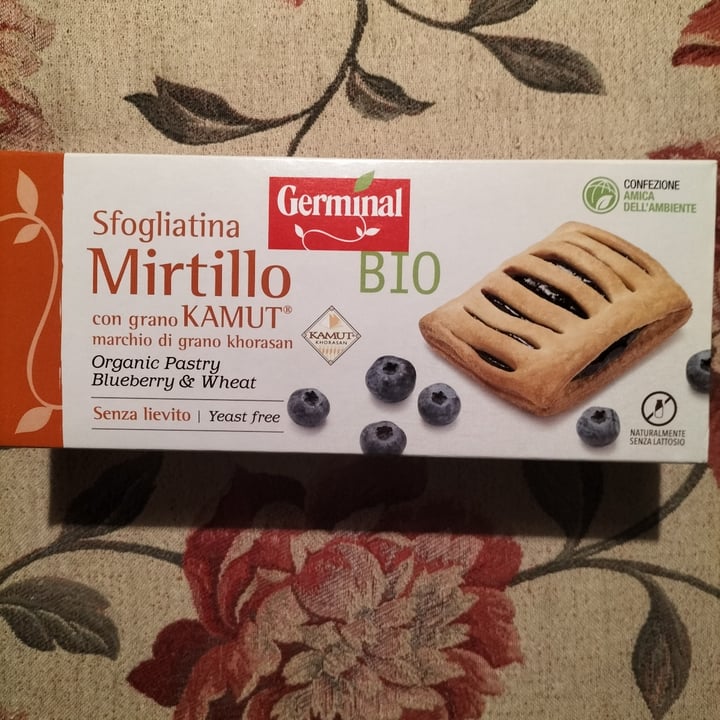 photo of Germinal Bio Sfogliatina mirtillo kamut shared by @filippo45 on  02 Feb 2023 - review