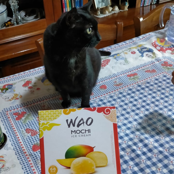photo of Wao Mochi Ice Cream Mango shared by @michelalessandra on  29 Jul 2023 - review