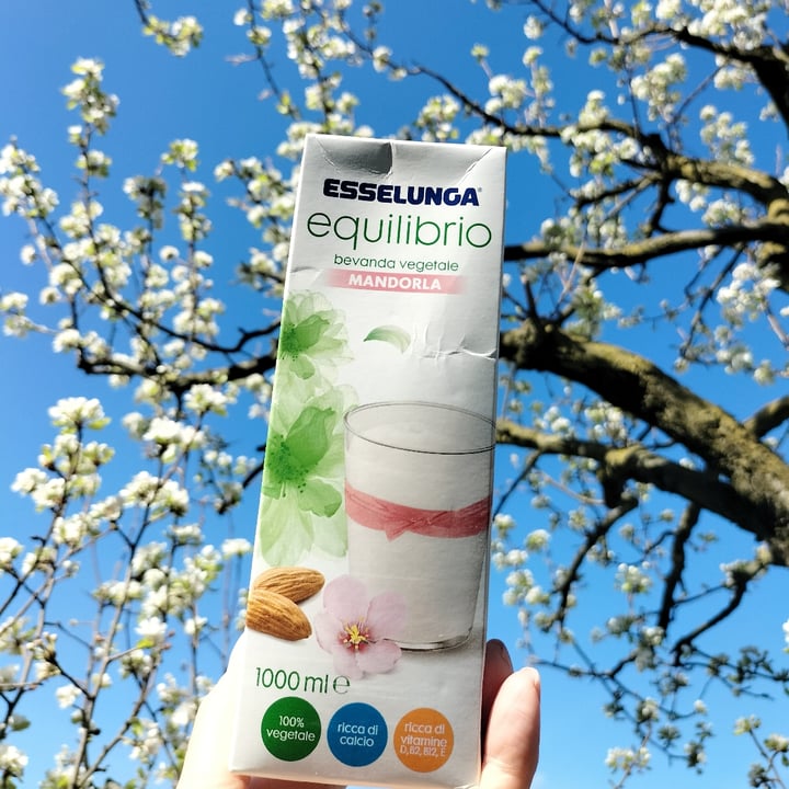 photo of Esselunga equilibrio bevanda vegetale alla mandorla shared by @raffa70s70 on  29 Mar 2023 - review