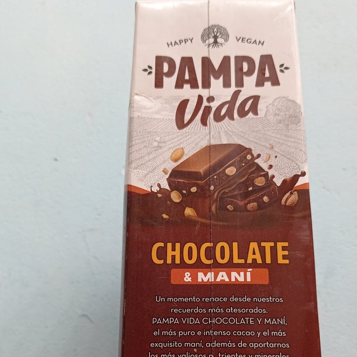 photo of Pampa Vida Leche chocolatada de mani shared by @malalafontan on  04 Jun 2023 - review