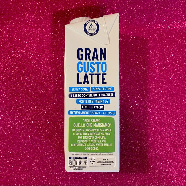 photo of Valsoia GRAN GUSTO LATTE shared by @gingersaint on  02 Feb 2023 - review
