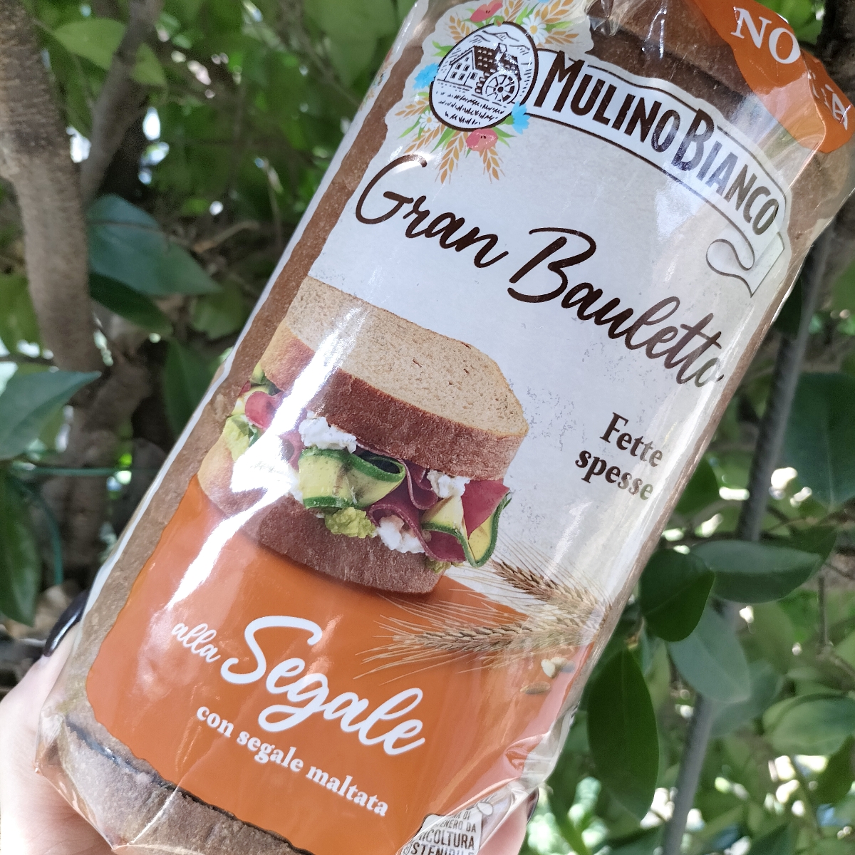 Mulino Bianco Gran Bauletto alla Segale Reviews | abillion