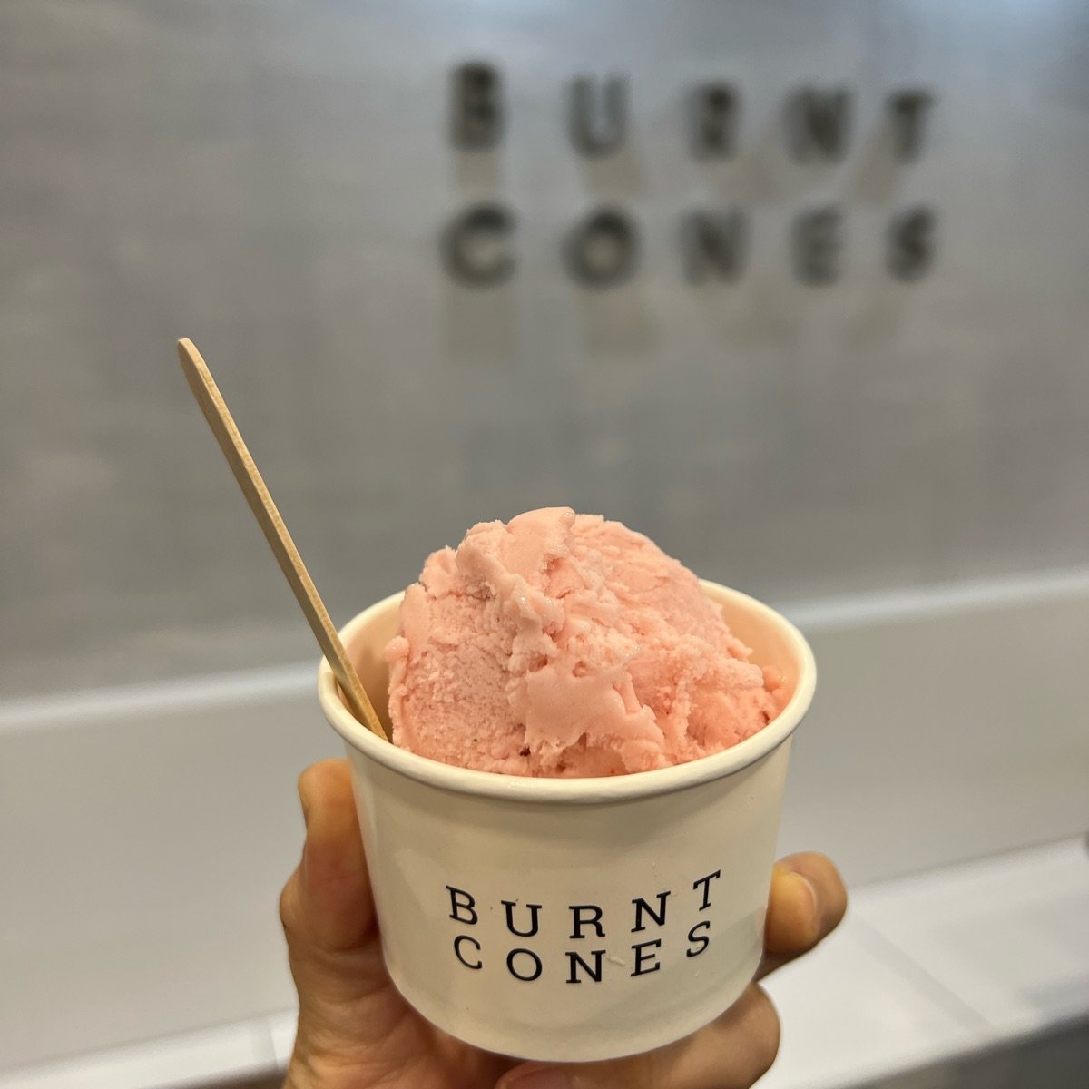 Burnt Cones Gelato (NUS MD11) Strawberry Basil Reviews abillion
