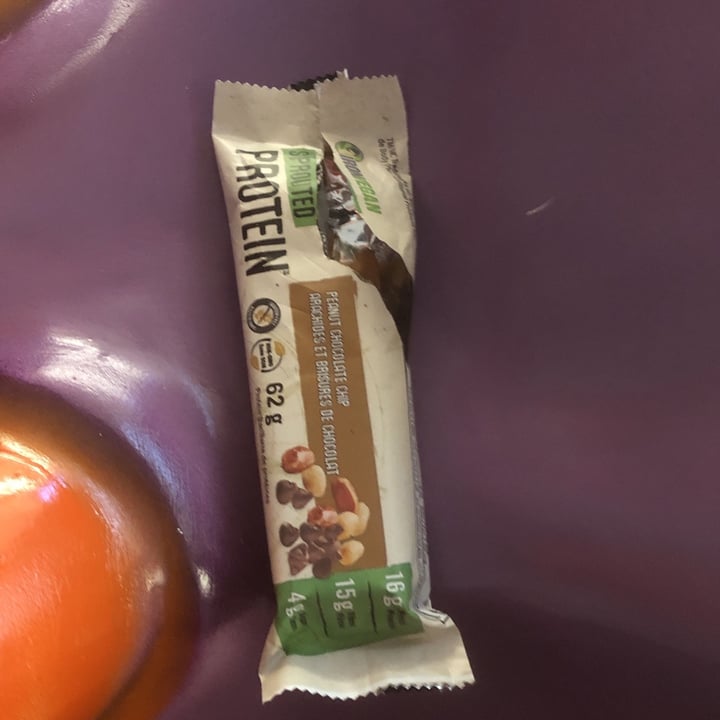 photo of Iron Vegan Sprouted Protein Bar Peanut Chocolate Chip shared by @abarrow33 on  12 Jan 2023 - review