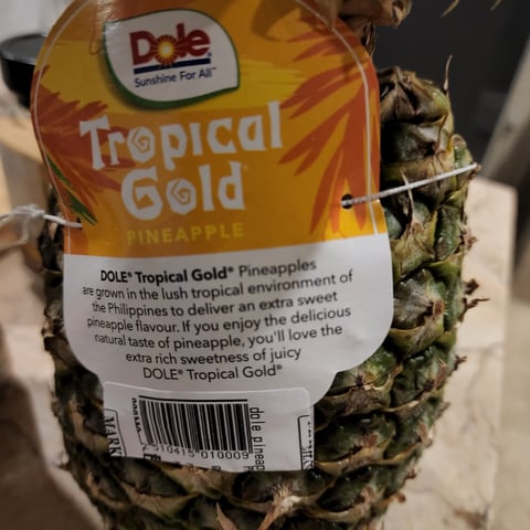 Gold Pineapple Tropical Summer Dog Collar - waaagPet