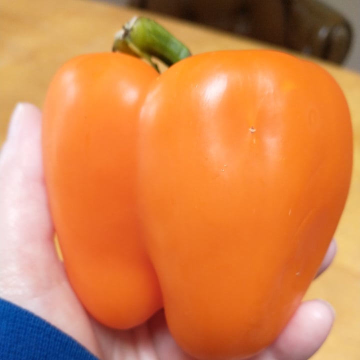 photo of Wildberries Marketplace Orange Bell Pepper shared by @forestnymph on  05 May 2023 - review