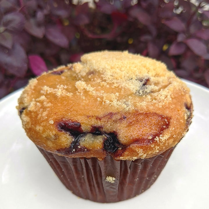 photo of Whole Foods Market Blueberry Muffins shared by @veggieassassin on  23 Dec 2022 - review