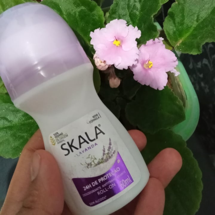 photo of Skala Desodorante Antitranspirante Lavanda shared by @brendairis on  16 Feb 2023 - review