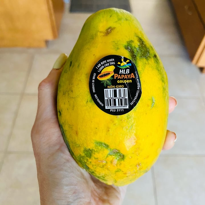 photo of HLB Golden Papaya shared by @beckyyy on  14 Jul 2023 - review