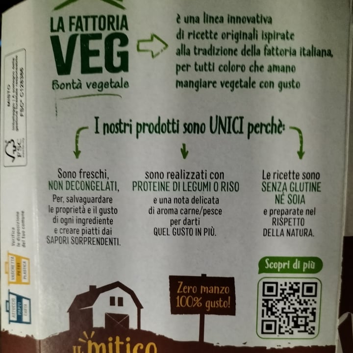 photo of la fattoria veg Il Mitico Burger shared by @raffa70s70 on  19 Apr 2023 - review