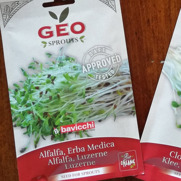 photo of Geo Sprouts  Bio Organic Alfalfa (Erba Medica) shared by @millabazzocchi on  19 Jul 2023 - review