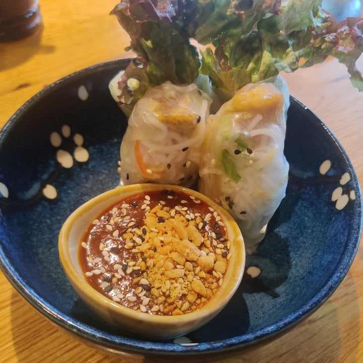 photo of Udum Vegan Restaurant Summer Rolls shared by @dillonsmith on  29 Apr 2023 - review