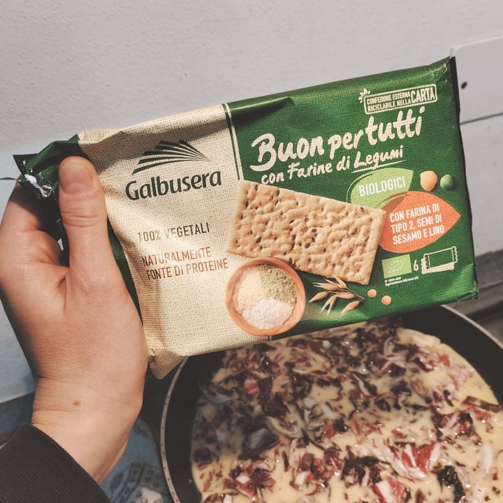photo of Galbusera Cracker biologici con farine di legumi, semi di sesamo e lino shared by @giiada on  15 Mar 2023 - review